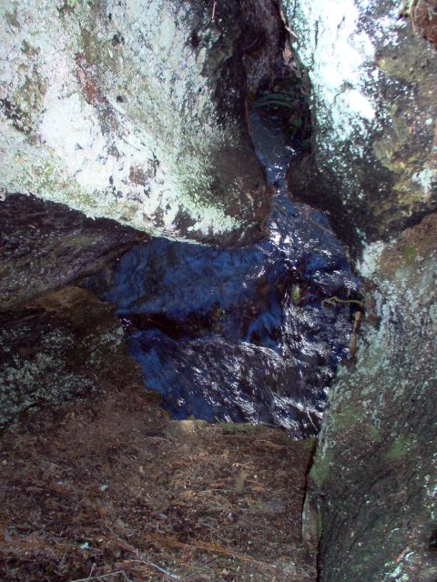 2001 Ford Taurus - A small stream winds its way through a rocky crevice, with vegetation visible in the background.