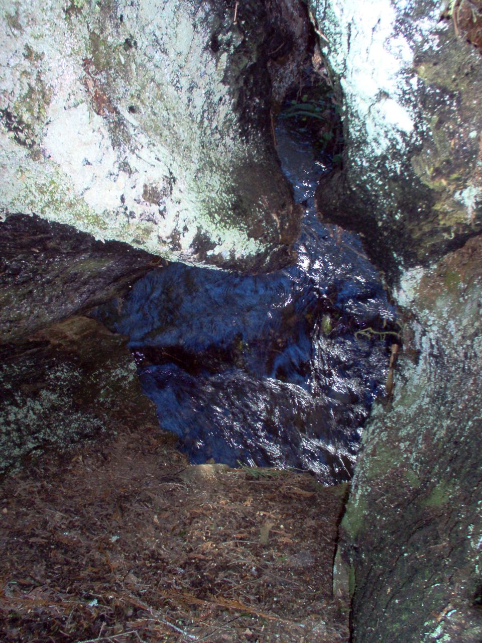 water flowing in a narrow channel between mossy rocks and dry leaves on the ground