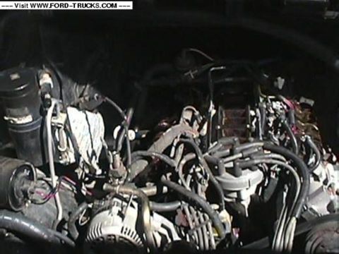 1994 Ford Bronco - Close-up view of a vehicle's engine compartment, showing various components and wiring.