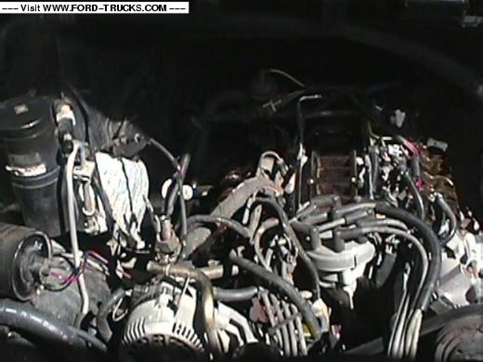 engine bay with wires and hoses