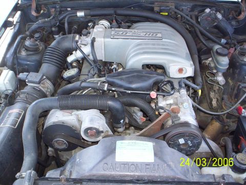 1991 Ford Mustang photo