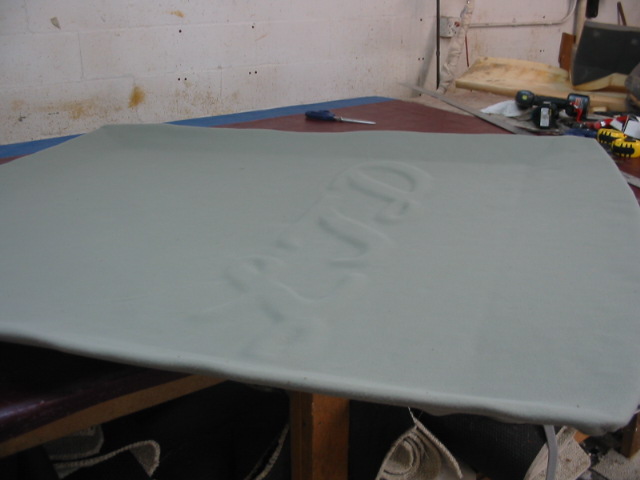 Light gray headliner with embossed text