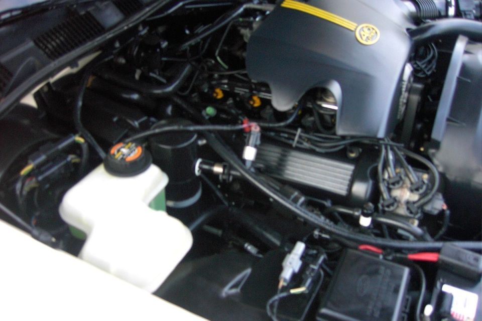 Painted Exhaust Manifold