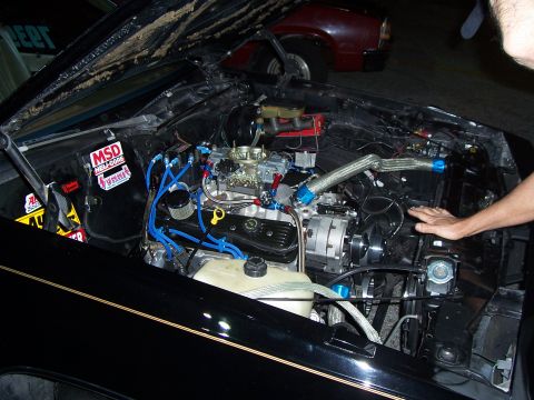 1994 Ford Probe - A person's hand rests near the radiator of a car with its hood open, revealing a modified V8 engine.