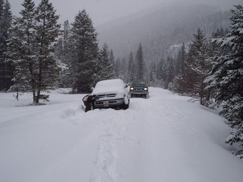 1990 Ford Bronco - Poor dodge after sitting all night in a snow storm