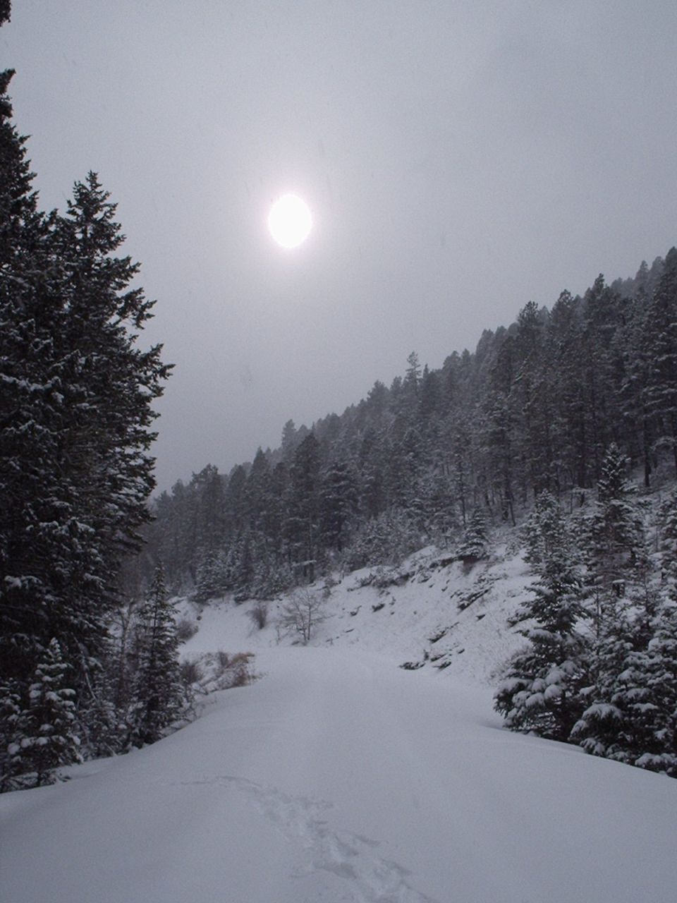 Snowy mountain road with sun glowing through haze over snow-laden pine slopes