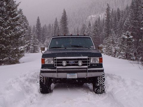 1990 Ford Bronco - Bronco poser shot!!!