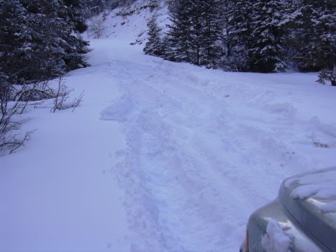 1990 Ford Bronco - The 50 foot drag from one side of the road, into the other bank.