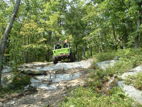 1991 Ford Bronco - A green off-road vehicle navigates a challenging rocky path through a dense forest.