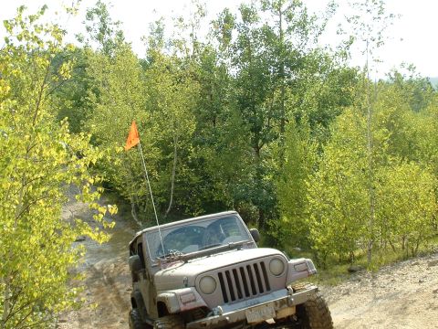 1991 Ford Bronco - A tan Jeep Wrangler navigates an off-road trail, marked by an orange flag, surrounded by lush green trees.
