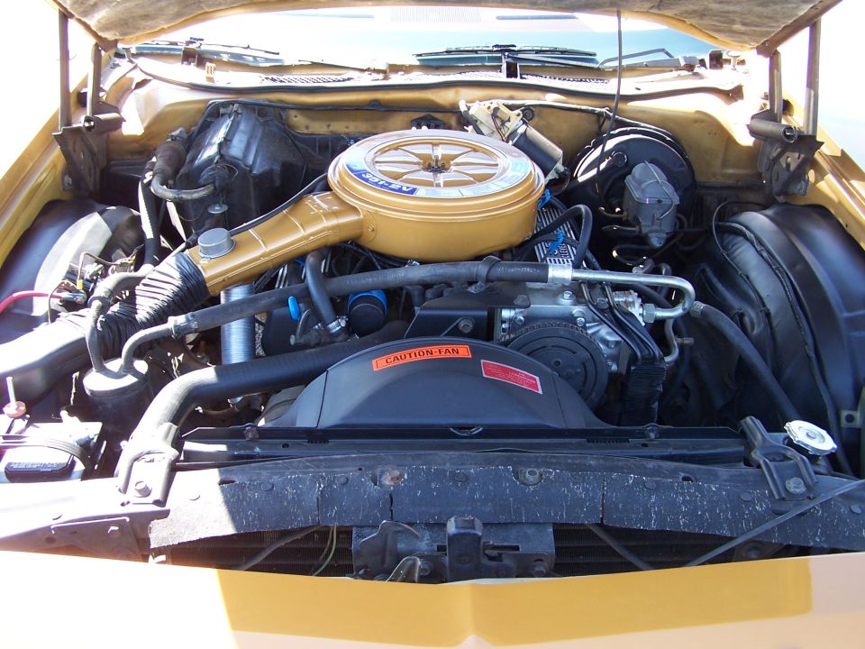 V8 engine bay with gold air cleaner and Caution Fan decal under yellow car hood