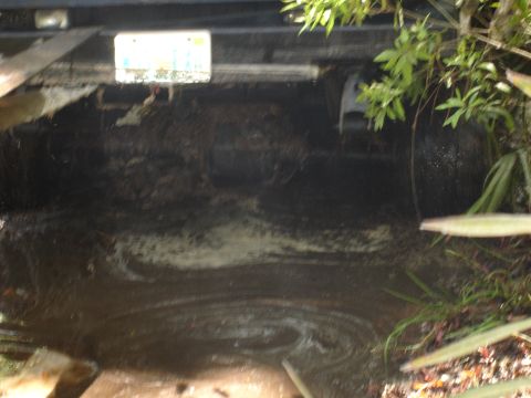 1989 Ford Bronco - Undercarriage of a vehicle submerged in muddy water, with vegetation around.