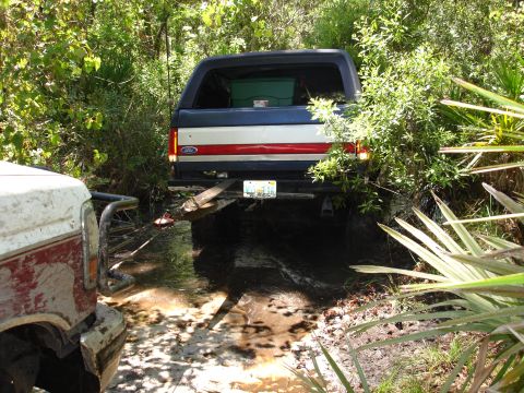 1989 Ford Bronco - A Ford Bronco is stuck in a muddy trail surrounded by vegetation, with another vehicle partially visible.