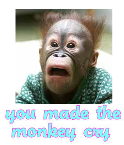 2002 Ford Crown Victoria - A baby orangutan looks surprised with its mouth open wide. Text and a website address are visible below the image.