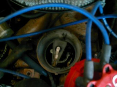 1986 Ford Bronco - Close-up view of an engine's distributor cap and spark plug wires.