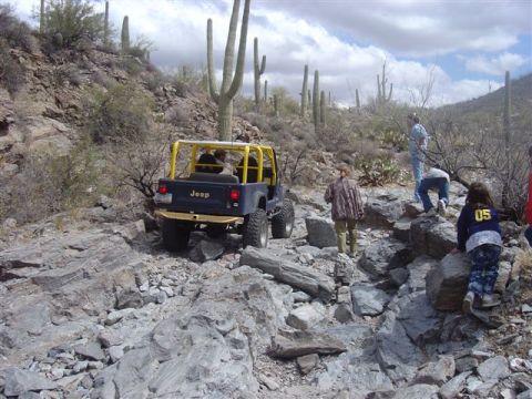 1981 Ford F-150 - A blue Jeep Wrangler navigates a rocky desert trail with saguaro cacti in the background.