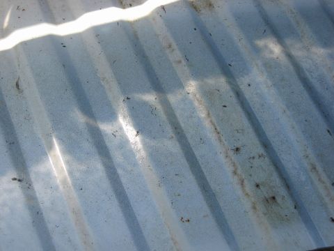 1995 Ford Bronco - that gleaming is all water