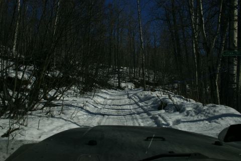 2003 Jeep TJ - Driving on a snow-covered road through a forest with bare trees and a clear blue sky.