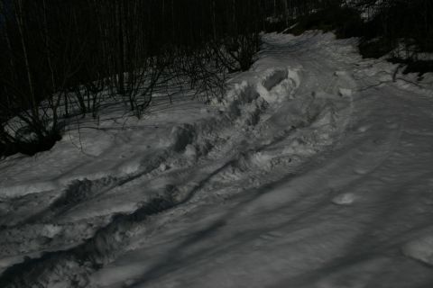 2003 Jeep TJ - Tire tracks are visible in the snow on a path through a wooded area.