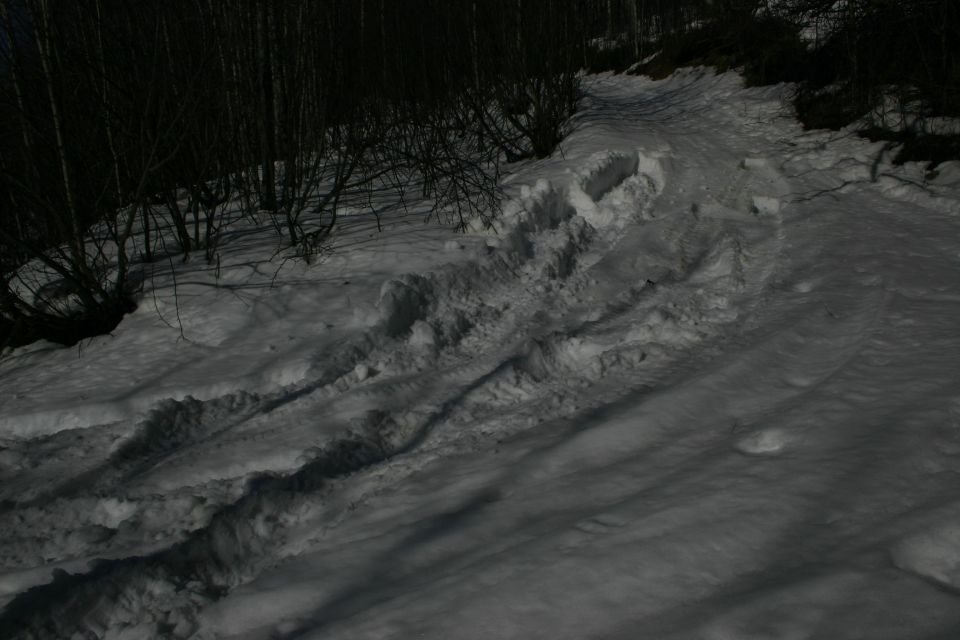 Tire tracks in snow on a wooded path