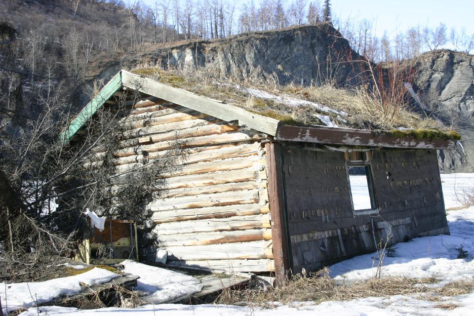 dilapidated log cabin with overgrown roof, snow on ground
