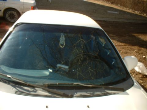 1993 Ford Probe photo