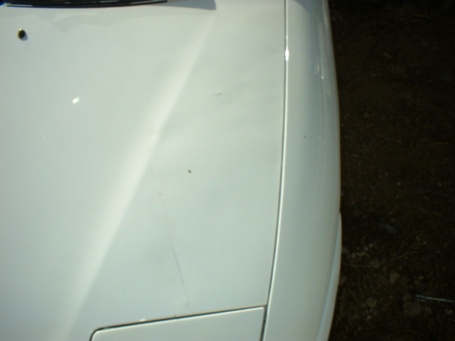 White car hood and fender with minor scratches and dirt specks