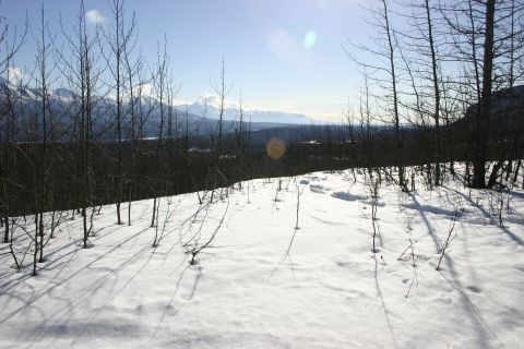 2003 Jeep TJ - A winter scene unfolds with snow-covered ground, silhouetted trees, and a vast mountain range in the distance.