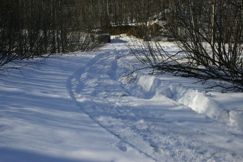 2003 Jeep TJ - A path carved through deep snow, likely by a vehicle, leads into a winter forest.