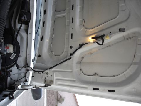 1996 Ford Bronco - Under hood shot of the breather filter.