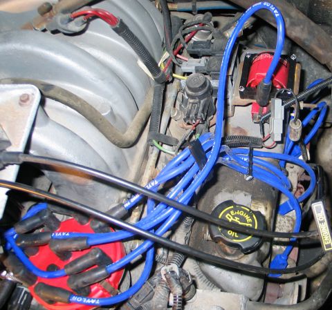 1994 Ford Bronco - Close-up of an engine's ignition system, blue spark plug wires and a red ignition coil.