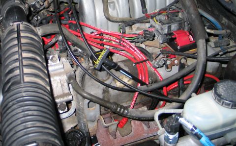 1994 Ford Bronco - Close-up view of a vehicle's engine ignition system, red spark plug wires and a red ignition coil.