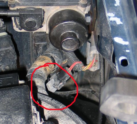 1994 Ford Bronco - Close-up view of a vehicle's engine wiring harness, with a connector highlighted by a red circle.