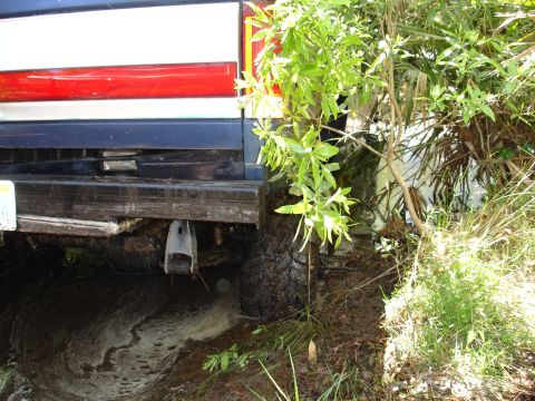 1989 Ford Bronco - 1989 Ford Bronco's rear tire submerged in mud and vegetation.
