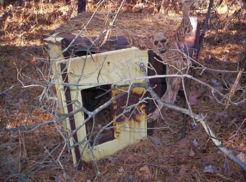 2002 Ford Crown Victoria - A weathered car part, possibly from a Ford Crown Victoria, lies abandoned in the woods, partially obscured by branches and pine needles.