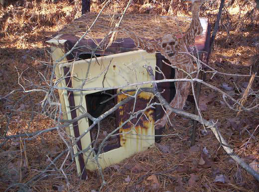 Rusted yellow and brown car part with branches and a skull decoration