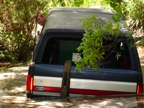 1989 Ford Bronco - A Ford Bronco is stuck in murky water, with a man looking out the window. Branches hang over the vehicle.