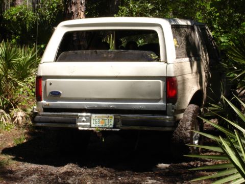 1989 Ford Bronco - Rear view of a 1989 Ford Bronco, partially obscured by foliage and stuck in the dirt.
