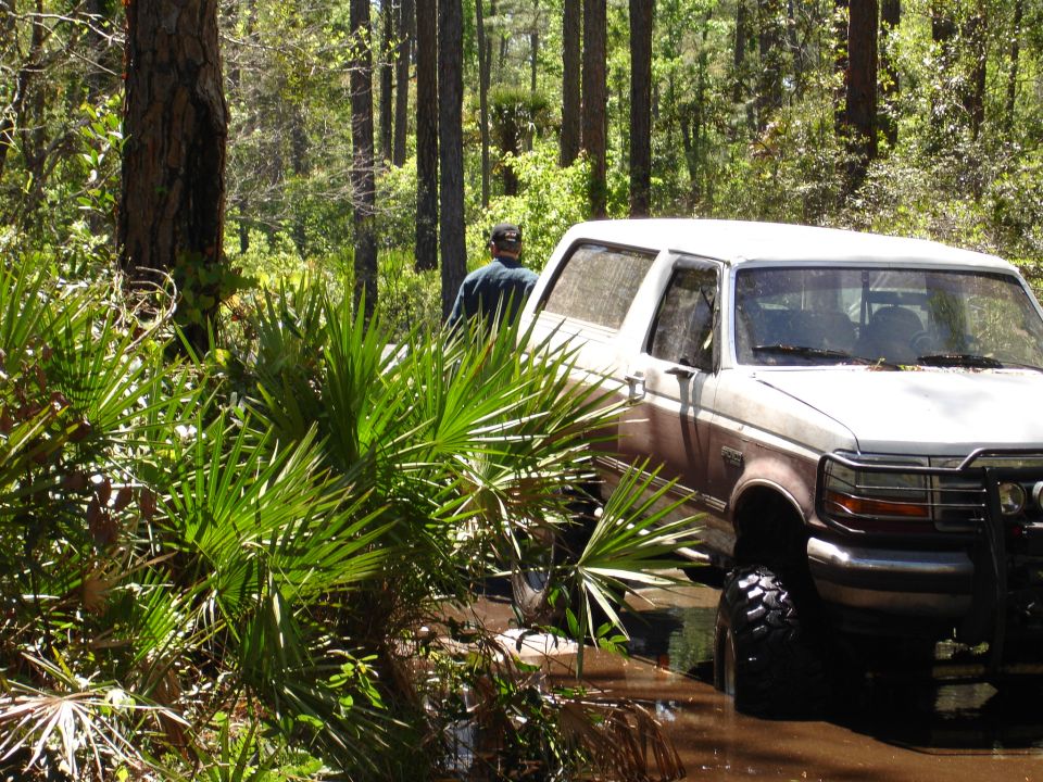White Ford Bronco with brown stripe stuck in muddy woods, person walking away from it