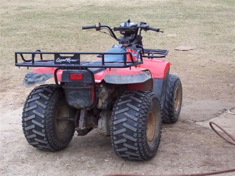 1988 Suzuki QUADRUNNER 500/LT500 photo
