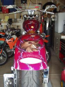 2002 Harley-Davidson Softail photo