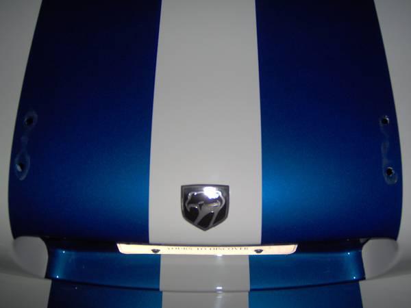 Blue and white striped hood with snake emblem and license plate light