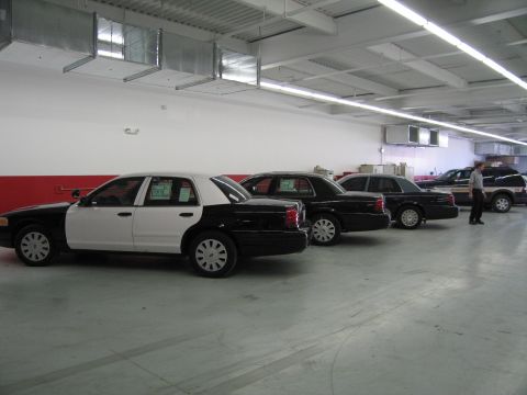 1991 Ford LTD Crown Victoria - Several black-and-white police sedans are lined up rear-first in a large fleet garage with a red-and-white wall as a man stands nearby.