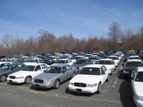 1991 Ford LTD Crown Victoria - large gravel lot packed with rows of parked sedans, mostly white and gray Ford Crown Victorias, in front of bare trees.
