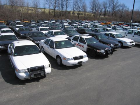 1991 Ford LTD Crown Victoria - Rows of white Ford Crown Victorias and a black-and-white POLICE cruiser are parked across a lot before bare trees and a building.
