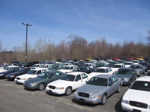 1991 Ford LTD Crown Victoria - large paved lot filled with rows of parked sedans, predominantly white and silver Ford Crown Victorias, under a clear sky.