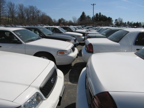 1991 Ford LTD Crown Victoria - Numerous white full-size Ford sedans, mostly decommissioned fleet cars, parked closely together in a large outdoor lot under blue sky.