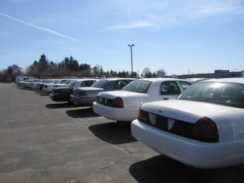 1991 Ford LTD Crown Victoria - long row of white full-size Ford sedans lined up diagonally across an open paved lot under a clear blue sky.