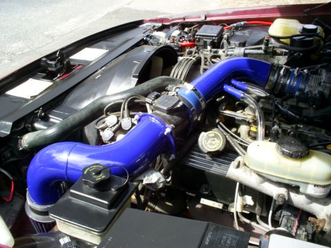 1995 Ford Crown Victoria - Custom blue intake piping installed in the engine bay of a 1995 Ford Crown Victoria.