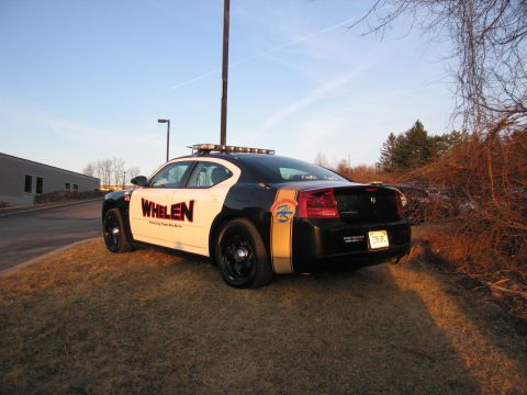 1991 Ford LTD Crown Victoria - Rear three-quarter view of a black and white Dodge Charger with WHELEN livery, gold accent stripe, and roof light bar parked on grass.